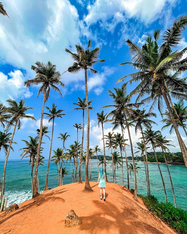 Small Island covered in palm trees